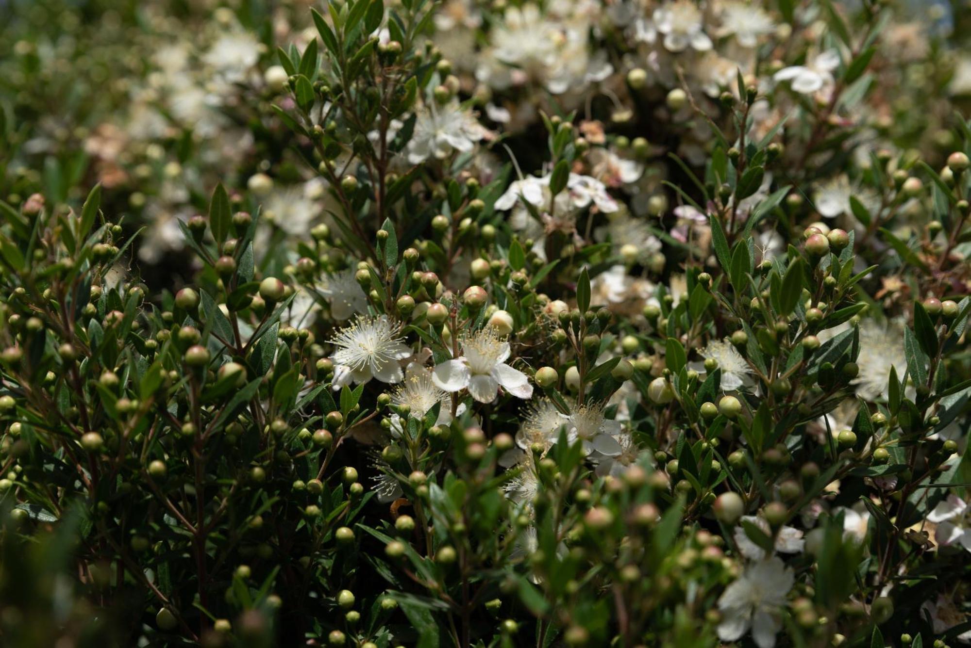 Villa Tre 'S' Montallegro Luaran gambar